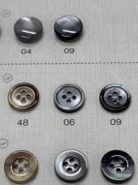 SC300 DAIYA BUTTONS Shell-like Polyester Button DAIYA BUTTON(DAIYA BUTTON) Sub Photo