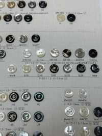 SLR8 DAIYA BUTTONS Shell-like Polyester Button DAIYA BUTTON(DAIYA BUTTON) Sub Photo
