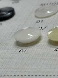 SU107 DAIYA BUTTONS Shell-like Polyester Button DAIYA BUTTON(DAIYA BUTTON) Sub Photo