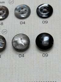 SU107 DAIYA BUTTONS Shell-like Polyester Button DAIYA BUTTON(DAIYA BUTTON) Sub Photo