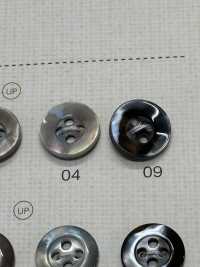 SU112 DAIYA BUTTONS Shell-like Polyester Button DAIYA BUTTON(DAIYA BUTTON) Sub Photo