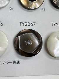 TY2067 Polyester Resin Buttons DAIYA BUTTON(DAIYA BUTTON) Sub Photo
