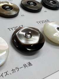 TY2067 Polyester Resin Buttons DAIYA BUTTON(DAIYA BUTTON) Sub Photo