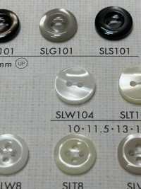 SLW104 DAIYA BUTTONS Shell-like Polyester Button DAIYA BUTTON(DAIYA BUTTON) Sub Photo
