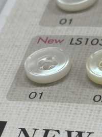 LS103 4-hole Plastic Button DAIYA BUTTON Sub Photo