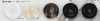 VT9985 Polyester Resin Four-hole Button