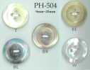 PH504 4-hole Edge Shell Button