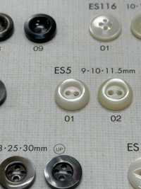 ES5 DAIYA BUTTONS Shell Polyester Buttons DAIYA BUTTON(DAIYA BUTTON) Sub Photo