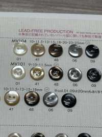 MV101 DAIYA BUTTONS Shell-like Polyester Button DAIYA BUTTON(DAIYA BUTTON) Sub Photo