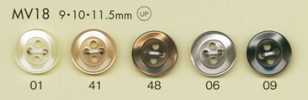 MV18 DAIYA BUTTONS Shell Polyester Buttons