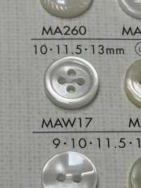 MAW17 DAIYA BUTTONS Shell-like Polyester Button DAIYA BUTTON Sub Photo