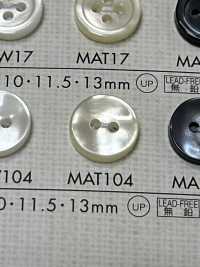 MAT104 DAIYA BUTTONS Shell-like Polyester Button DAIYA BUTTON(DAIYA BUTTON) Sub Photo