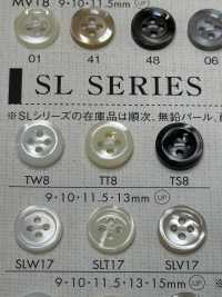 TW8 DAIYA BUTTONS Shell-like Polyester Button DAIYA BUTTON Sub Photo