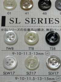 TT8 DAIYA BUTTONS Shell-like Polyester Button DAIYA BUTTON(DAIYA BUTTON) Sub Photo
