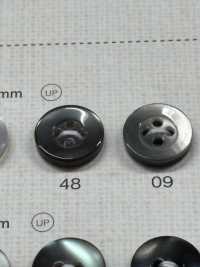 NRS18 DAIYA BUTTONS Shell-like Polyester Button DAIYA BUTTON(DAIYA BUTTON) Sub Photo