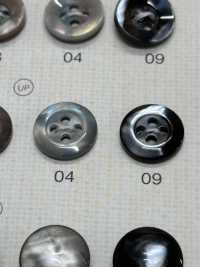 SU105 DAIYA BUTTONS Shell-like Polyester Button DAIYA BUTTON(DAIYA BUTTON) Sub Photo