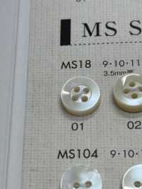 MS18 DAIYA BUTTONS Shell-like Polyester Button DAIYA BUTTON(DAIYA BUTTON) Sub Photo