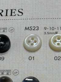 MS23 DAIYA BUTTONS Shell-like Polyester Button DAIYA BUTTON(DAIYA BUTTON) Sub Photo