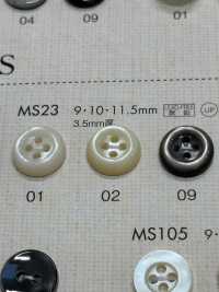MS23 DAIYA BUTTONS Shell-like Polyester Button DAIYA BUTTON(DAIYA BUTTON) Sub Photo