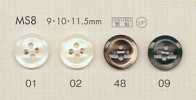 MS8 DAIYA BUTTONS Shell-style Polyester Buttons