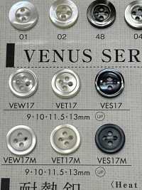 VEW17 DAIYA BUTTONS Shell-like Polyester Button DAIYA BUTTON(DAIYA BUTTON) Sub Photo