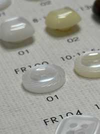 FR100 DAIYA BUTTONS Shell-like Polyester Button DAIYA BUTTON(DAIYA BUTTON) Sub Photo