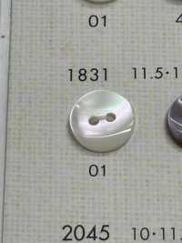 1831 DAIYA BUTTONS Shell-like Polyester Button DAIYA BUTTON(DAIYA BUTTON) Sub Photo