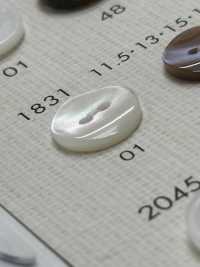 1831 DAIYA BUTTONS Shell-like Polyester Button DAIYA BUTTON(DAIYA BUTTON) Sub Photo