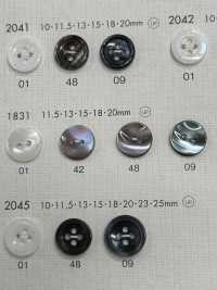 1831 DAIYA BUTTONS Shell-like Polyester Button DAIYA BUTTON(DAIYA BUTTON) Sub Photo