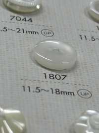 1807 DAIYA BUTTONS Double-hole Polyester Button DAIYA BUTTON(DAIYA BUTTON) Sub Photo
