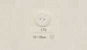 170 DAIYA BUTTONS Two-Hole Polyester Button