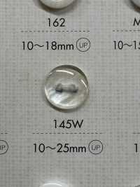 145W Shell BUTTONS Two-hole Shell-like Polyester Button (Semi-transparent) DAIYA BUTTON Sub Photo