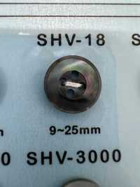 SHV18 4-hole Shell Button DAIYA BUTTON(DAIYA BUTTON) Sub Photo