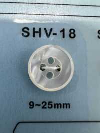 SHV18 4-hole Shell Button DAIYA BUTTON(DAIYA BUTTON) Sub Photo
