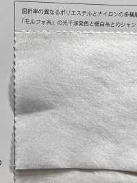 MFW Morpho White Organza[Textile / Fabric] Suncorona Oda Sub Photo