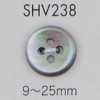 SHV238 Four-hole Shell Button