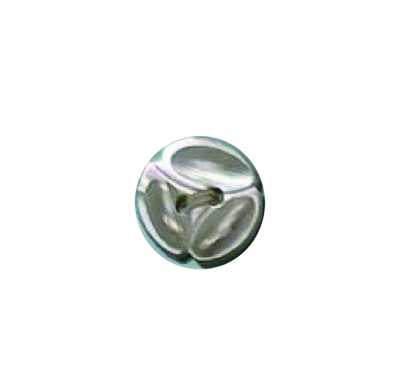 200 2-hole Button, Takase Shell