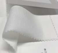 6520 20 / CLEANSE Tianzhu Cotton[Textile / Fabric] Fujisaki Textile Sub Photo