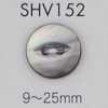 SHV152 2-hole Shell Button