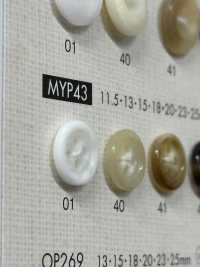 MYP43 Polyester Resin Bordered 4-hole Button Sub Photo