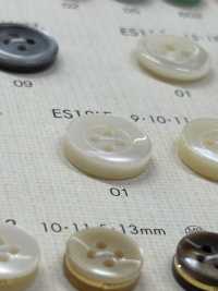 ES18LF Shell BUTTONS 4-hole Shell-like Polyester Button DAIYA BUTTON(DAIYA BUTTON) Sub Photo