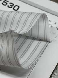 NY530 Striped Lining No Name Sub Photo