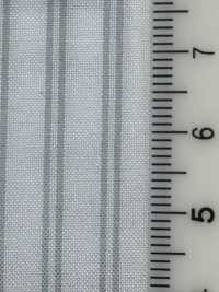 NY530 Striped Lining No Name Sub Photo