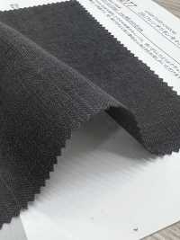 22277 Linen Canvas BIO-TKS[Textile / Fabric] SUNWELL Sub Photo