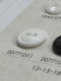 2077 2-hole Rimmed Button DAIYA BUTTON(DAIYA BUTTON) Sub Photo