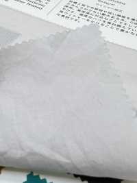 1204 CM80 Typewriter Cloth(Wide Width) Sun-dried Vintage Wash Finish[Textile / Fabric] VANCET Sub Photo