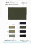 2419 Sun-Dried Vintage Washer Finish CM20 Twill