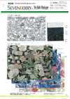 4216 SEVENBERRY® 50 Thread Broadcloth Broadcloth Stylish Vintage