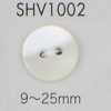 SHV1002 Two-hole Shell Button