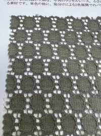 42875 Cotton/nylon Dotted Raschel Lace[Textile / Fabric] SUNWELL Sub Photo